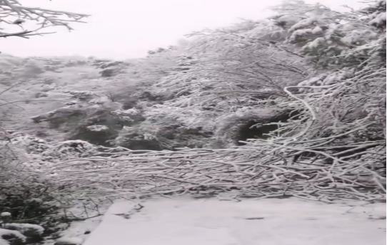 戰(zhàn)暴雪、保供電！湖南發(fā)展鳥(niǎo)兒巢公司應(yīng)對(duì)極端天氣緊急搶修失電故障